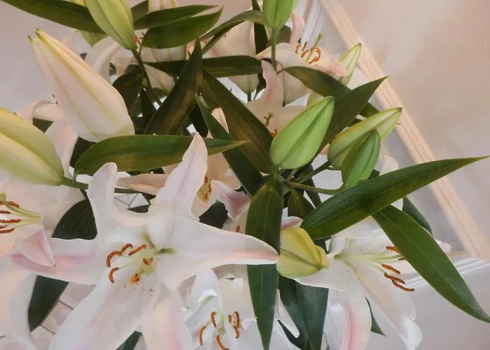 Casa de hóspedes Turmhotel Weserblick